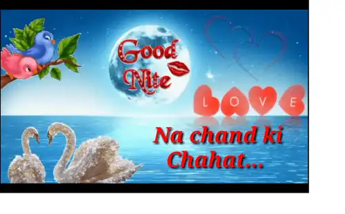 Chandani_Raato_mein_Aksar_Jagne_ham_Lage_New_Good_Night_Status_thumbnail.webp