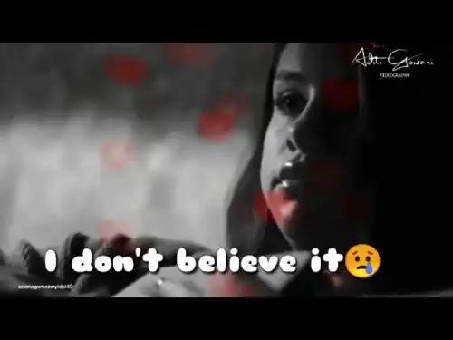 I dont believe you Selena Gomez Hollywood Song