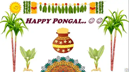 Indian Festival Pongal-Tamil Festival Pongal -Pongal Status