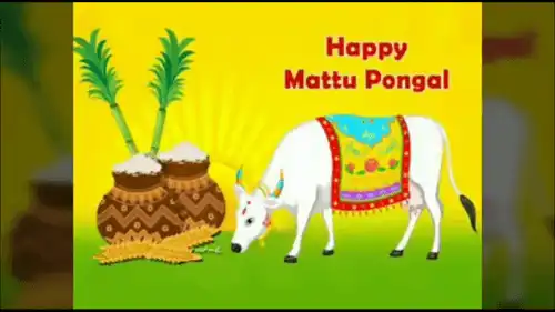 Mattu Pongal-Third Day Of Pongal-Happy Pongal