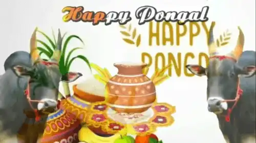 Pongal Greetings Musical Video-Pongal Festival