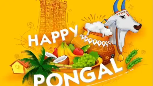 Pongal Special Video-Pongal Greetings-Festival Greetings