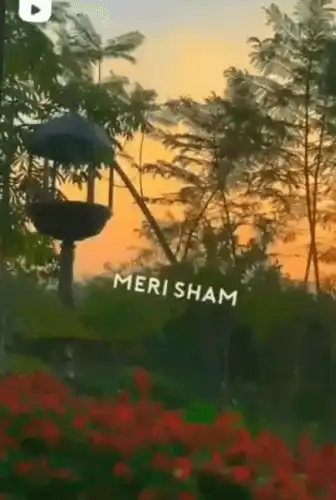 Shukran Allah Song Status-Meri Ankho Me Nazar Teri Hai Song-Video Status