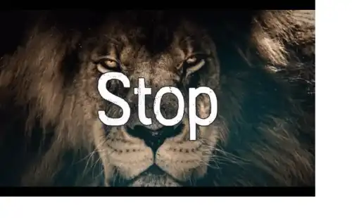 Stop_saying_I_Wish_Motivational_Video_thumbnail.webp
