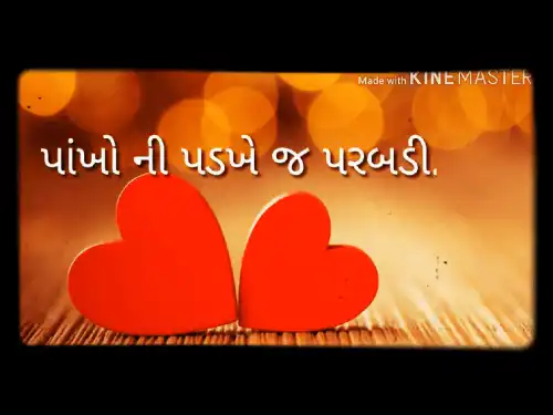 Tara Roop Ni Poonam No Pagal Eklo Gujarati Status Video