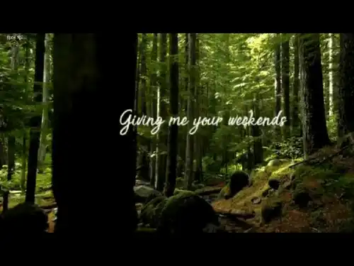 But I Knew You Taylor Swift English Song video