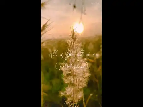 Daylight Bridge Taylor Swift Hollywood Song