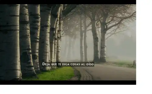 Despacito justin bieber Hollywood Whatsapp Status