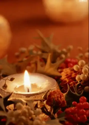 Diwali_Special_2021_WhatsApp_Video_thumbnail.webp