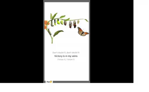 Dont Doubt It Katy Perry English Video Status