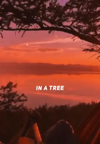 English Song-Full Screen Status-I Had A Dream Song