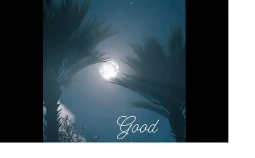 Good_Night_Love_New_Good_Night_Status_thumbnail.webp