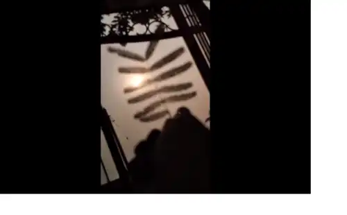 Leaf in evening ED Sheeran English Song video