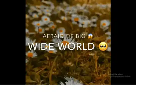 Lily Alan Walker English Song video