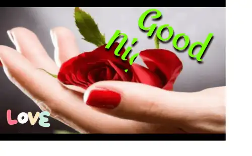 Love_Good_Night_Status_Good_Night_Whatsapp_Status_thumbnail.webp