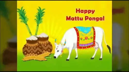 Mattu_Pongal-Third_Day_Of_Pongal-Happy_Pongal_thumbnail.webp