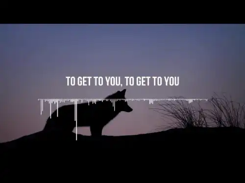 Selena Gomez Marshmello Wolves Hollywood Song