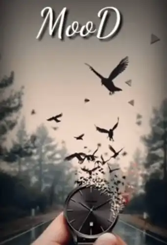 Sugar And Brownies Song-English WhatsApp Status