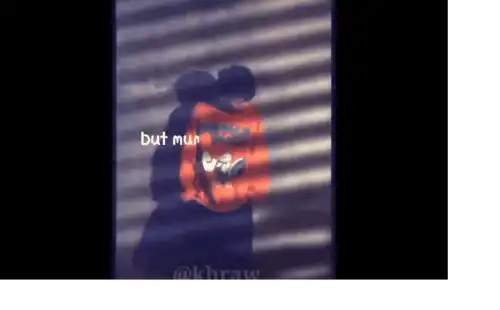 Super Market Flowers ED Sheeran Hollywood Song