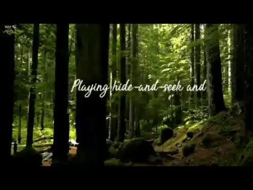 Taylor Swift Cardigan English Song video