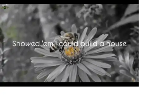 They told me out of there Katy Perry Hollywood Whatsapp Status