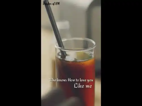 Who knows how to love Selena Gomez English Song video