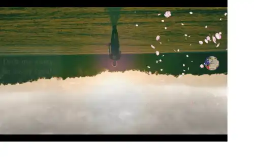 You are so beautyfull Akon Hollywood Whatsapp Status