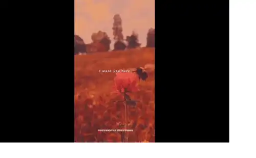 You make a weekend Katy perry English Video Status