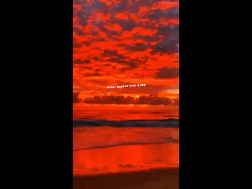 bored by Billie eilish lyrics English Video Status