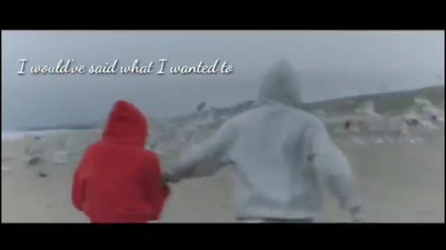 Wish you could Lady Gaga English Video Status